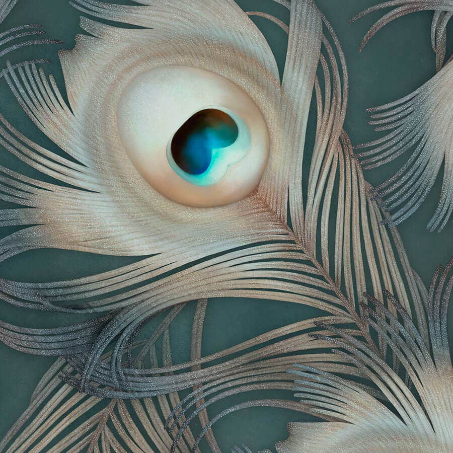 Becoming Wild Wallpaper - wallpaper - Ellie Cashman Design