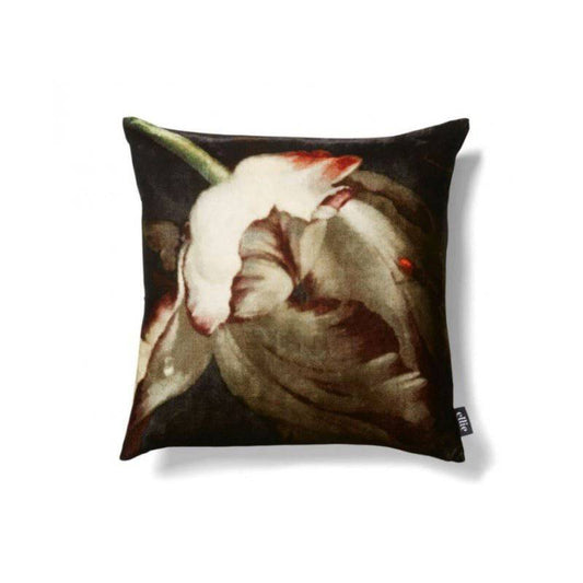 A Golden Age on Velvet Cushion (50 x 50 cm) - cushions - Ellie Cashman Design