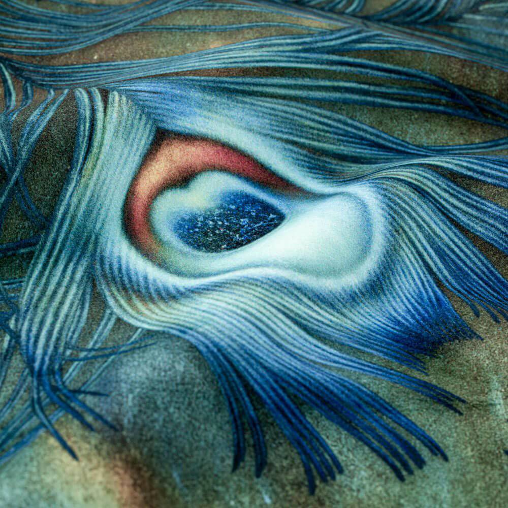 Becoming Wild Fabric - fabric - Ellie Cashman Design