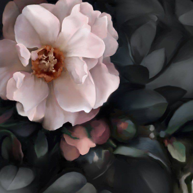 Still Life with Shadows Wallpaper - wallpaper - Ellie Cashman Design