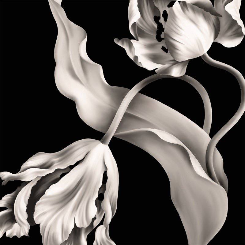 Twisting Tulips Wallpaper - wallpaper - Ellie Cashman Design