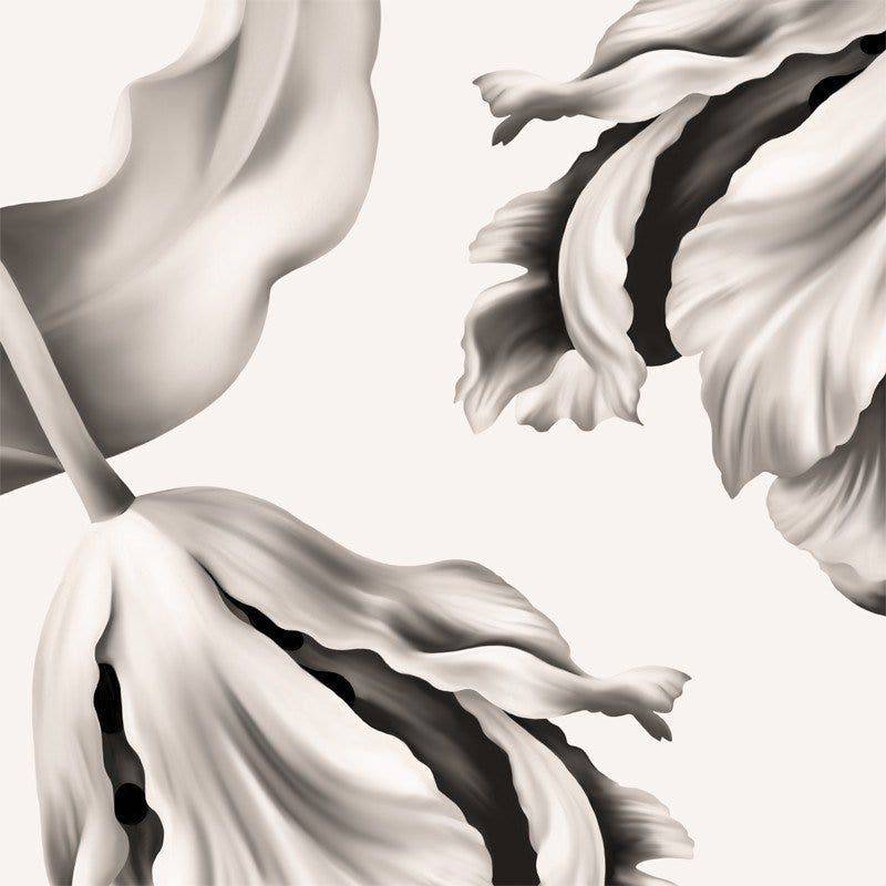 Twisting Tulips Wallpaper - wallpaper - Ellie Cashman Design