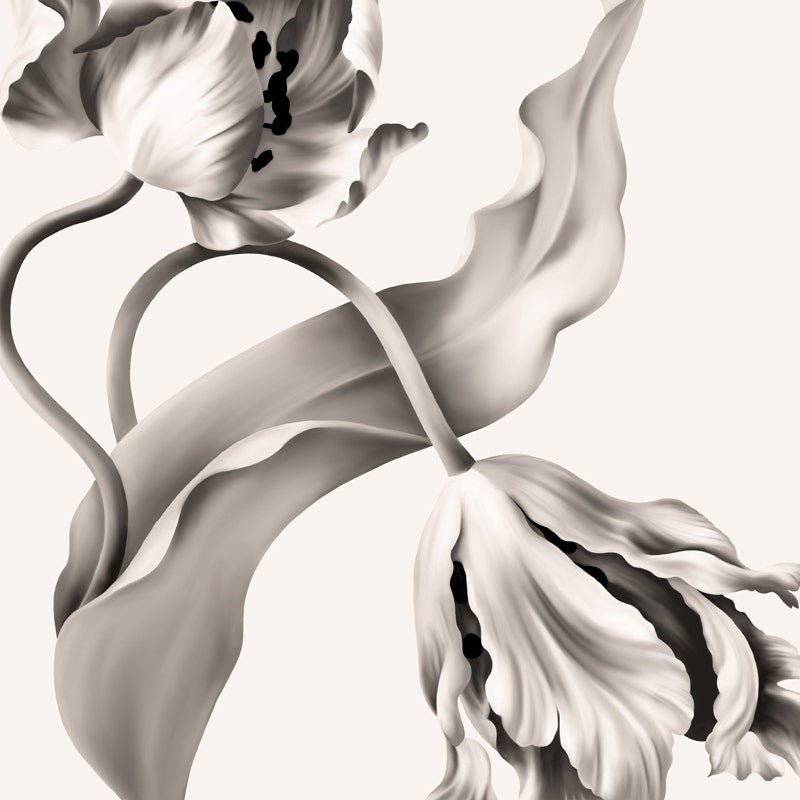 Twisting Tulips Wallpaper - wallpaper - Ellie Cashman Design