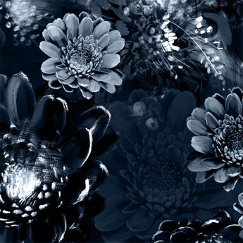 Moonlight Meadow black floral wallpaper by artist Ellie Cashman detail