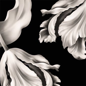 Twisting Tulips wallpaper by designer Ellie Cashman